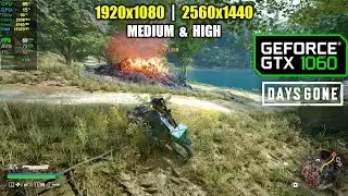 GTX 1060 | Days Gone - 1080p, 1440p - Medium & High
