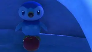 Piplup's 🤬