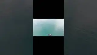 2025 Herring Run & Animal Life Drone