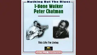 The Jive Blues