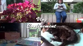 Vlog du confinement