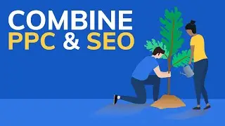 Как PPC и SEO могут помочь друг другу