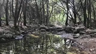 Violet Crown Trail - Sunset Valley, TX