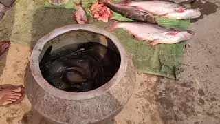 Dried fish market, Chattisgarh 