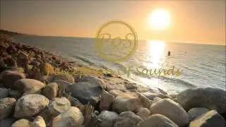 Robin S & Matvey Emerson - Show Me Love (NEIL RICHTER Edit)