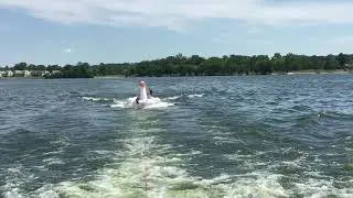 Swan Float Fun!