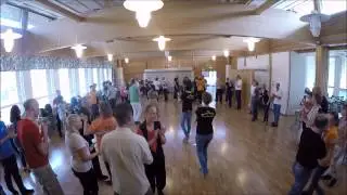 Foxkurs Vallentuna 25 April 2015 - Ronie Maria Fox & Kizomba