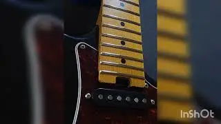 Soloking guitar MS-1 Build Up +++