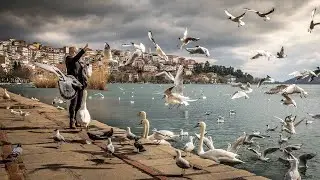 vol 9 ver 1.2 : 4K Relaxing Piano Music- Sleep Music, Calm Music, Study Music, Spa Music, Sleep