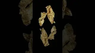 Crystallized Gold from El Dorado County #shortsvideo #shorts