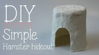 DIY simple Hamster hideout