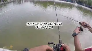 LIVE BAIT JUGAK CEPAT STRIKE #anglersagala #angler #carpfishing #daiwa #casting #anglermania 