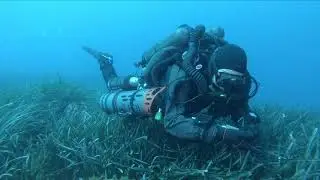 Dual CCR, X-CCR and T-Reb