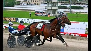 2025 Gran Premio Lotteria di Agnano (G1) 1600M Ippodromo di Agnano : Always Ek (1:10:3)