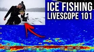 Using Garmin Livescope to Break Down NEW Water! (FIND Fish Like a PRO!)