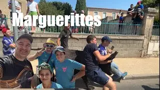 Abrivado-Bandido ➡️ Marguerittes 🇫🇷 28/07/24 Manade Robert H #aficionados #abrivado #tradition