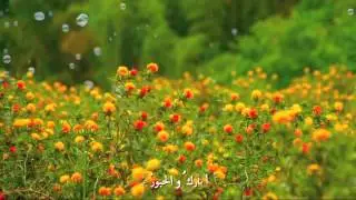 ختمة القرآن _ أمل الشقير ~ أسامة السلمان