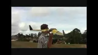 Fast EP corflute combat wing.
