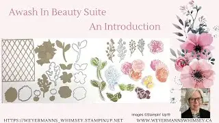 Awash In Beauty Suite - An Introduction