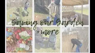 Garden (+more) Vlog ! Cozy Garden #2 - painting trees, planting, wood chipping, charcuterie board..🌿