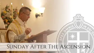 Sermon - Charity Covers a Multitude of Sins - Rev. Fr. Goshie - Sunday after the Ascension - 6/1/25