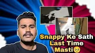 Bhaut Miss karenge Snappy Ko🥹 #trending #vlog #youtubeshorts #viralvideo #trendingshorts #shorts 