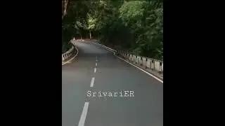 Today leopard 🐆 spotted at Tirumala ghat road