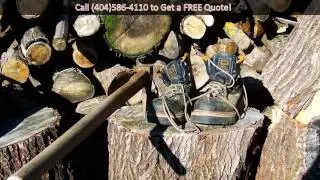 Tree Removal Services Atlanta