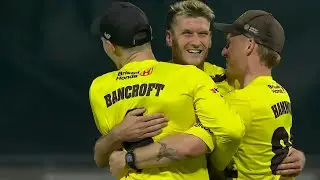 EVERY DAVID PAYNE WICKET IN VITALITY BLAST 2024 💥