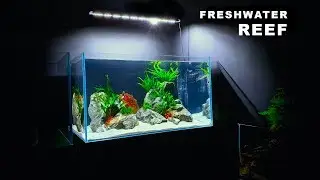 СОЗДАНИЕ *ПРЕСНОВОДНОГО РИФОВОГО* АКВАРИУМА || ШАГ ЗА ШАГОМ || MD FISH TANKS