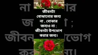 Bangla Quotes Written By Stotoswini Roy || Motivational quotes in Bengali ||