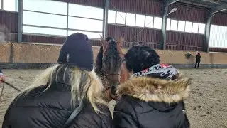 Polskie rody ogierów arabskich, prof. Krystyna Chmiel