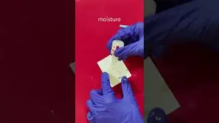 Manipulation of Glass Ionomer cement #bds #dentalprocedure #dental #dentalmaterials #gic