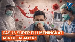 Kasus Super Flu Meningkat!  Ini Gejala dan Fakta Medis yang Perlu Diketahui