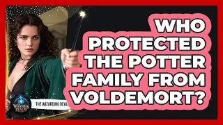 Who Protected The Potter Family From Voldemort?