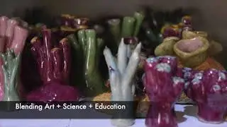 Coral Ceramic Wall &ndash; Art and Science | Coral Triangle Center