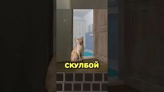 😳ANDREY HAS A CAT IN SCHOOLBOY RUNNING 🐈 