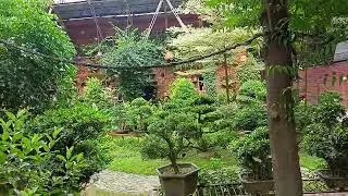 Nursery Garden in Gulshan || Gulshan Garden || Old House make a incredible Nursery in Gulshan
