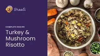 Turkey & Mushroom Risotto for Adult Dogs | Olli Recipe