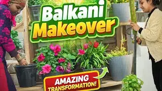 Balcony Garden Makeover 🌸Balcony Plants Safai🌿🌱 | Tomato Tod Liye 🍅 | Challenge Game 😂😱Manvi AM Vlog