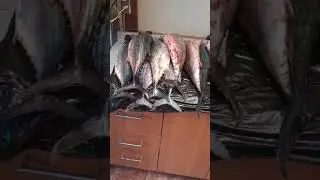 pesca de nuestro amigo Caicedodesde Antofagasta #bolivia #pesca #paratiiiiiiiiiiiiiiiiiiiiiiiii