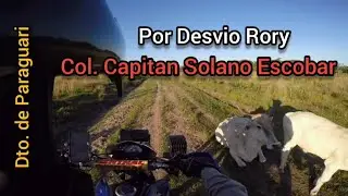 Desvio Rory  ( col. Capitán Solano Escobar )