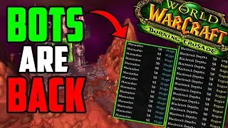World Of Warcraft - TBC Classic Bot