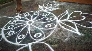 #kolam#rangoli#newone#colourkolam#2026#morningkolam