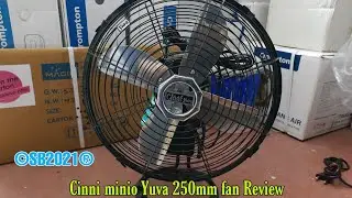CINNI MINIO YUVA 250MM (10