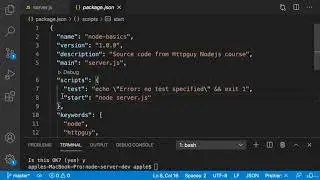 LESSON 7 - Running Node App using Npm scripts