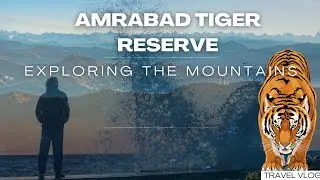 Nallamala Hills of Telangana, the Amrabad Tiger Reserve#forest #wildlifeofindia #nature
