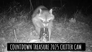 Countdown Treasure 2025 Critter Cam