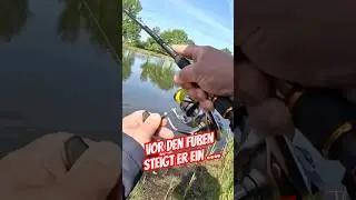 Vor den F&uuml;&szlig;en steigt er ein | Angeln auf Zander, Hecht und Barsch &hellip; 🎣🐟🎣🐟🎣🐟
