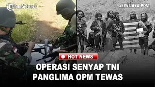 Fakta Dibalik Kematian Brigjen OPM: Serangan Drone Misterius Dan Serbuan Maut Koop Swasembada